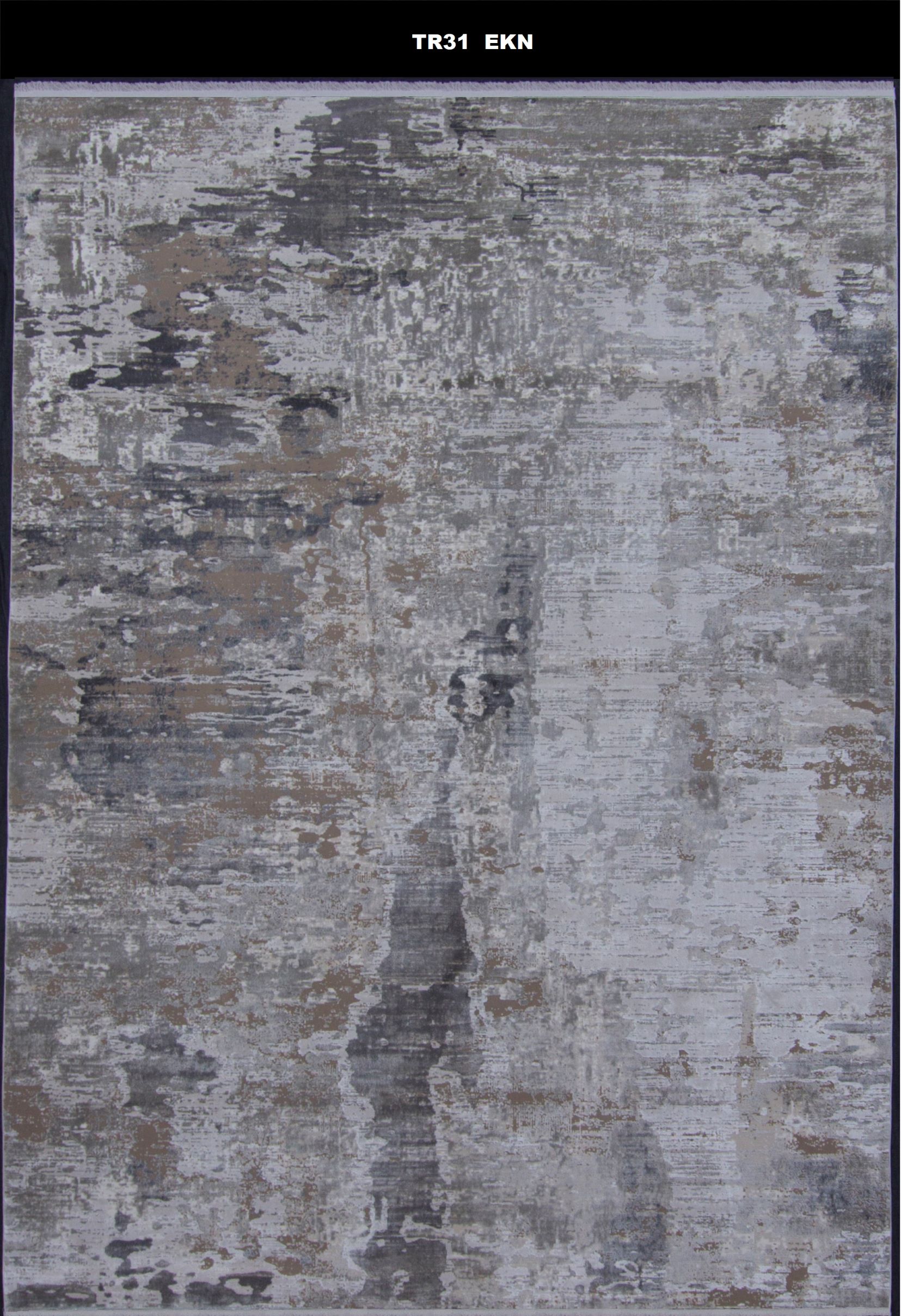 TR31 EKN