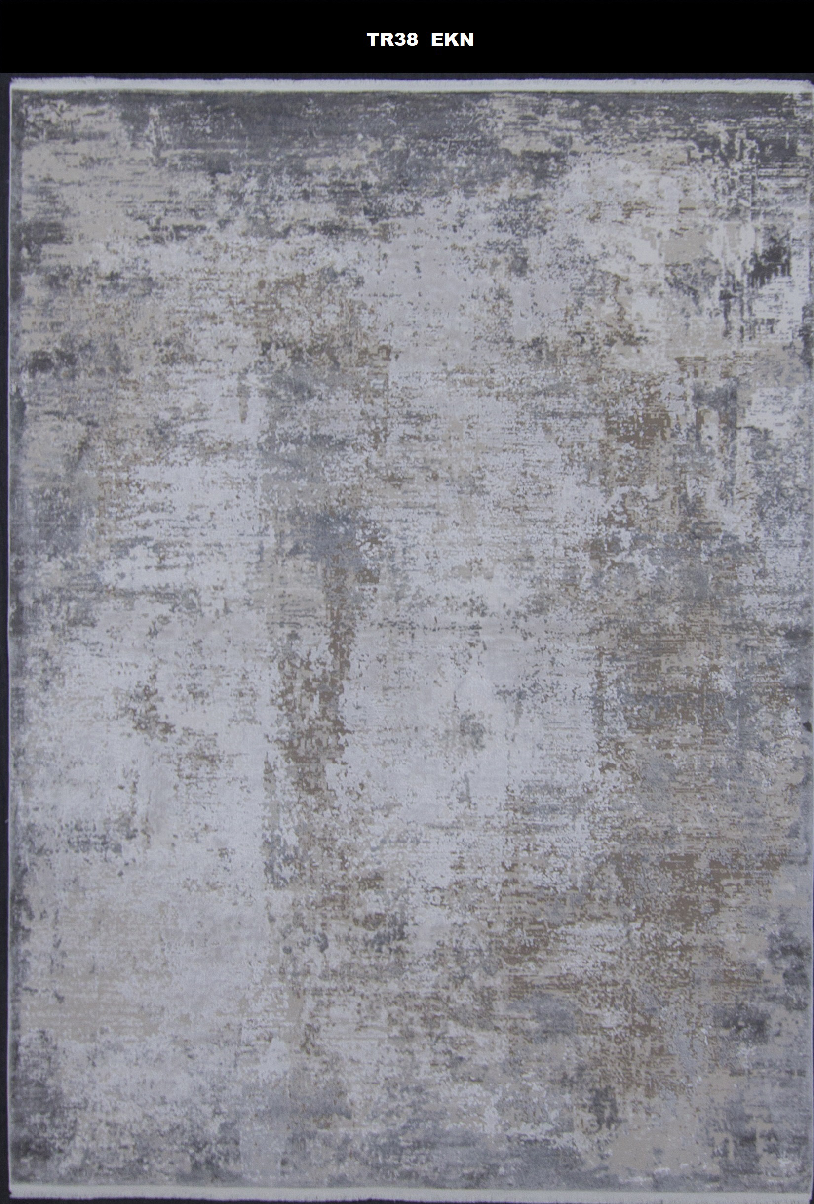 TR38 EKN