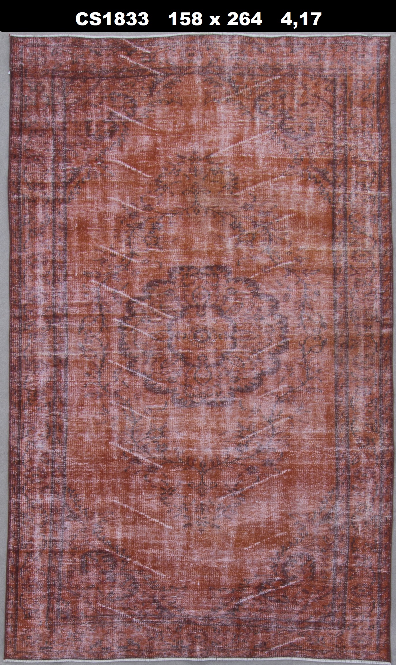 CS1833-1'58' x 2'64' (417 Sq.Meter)