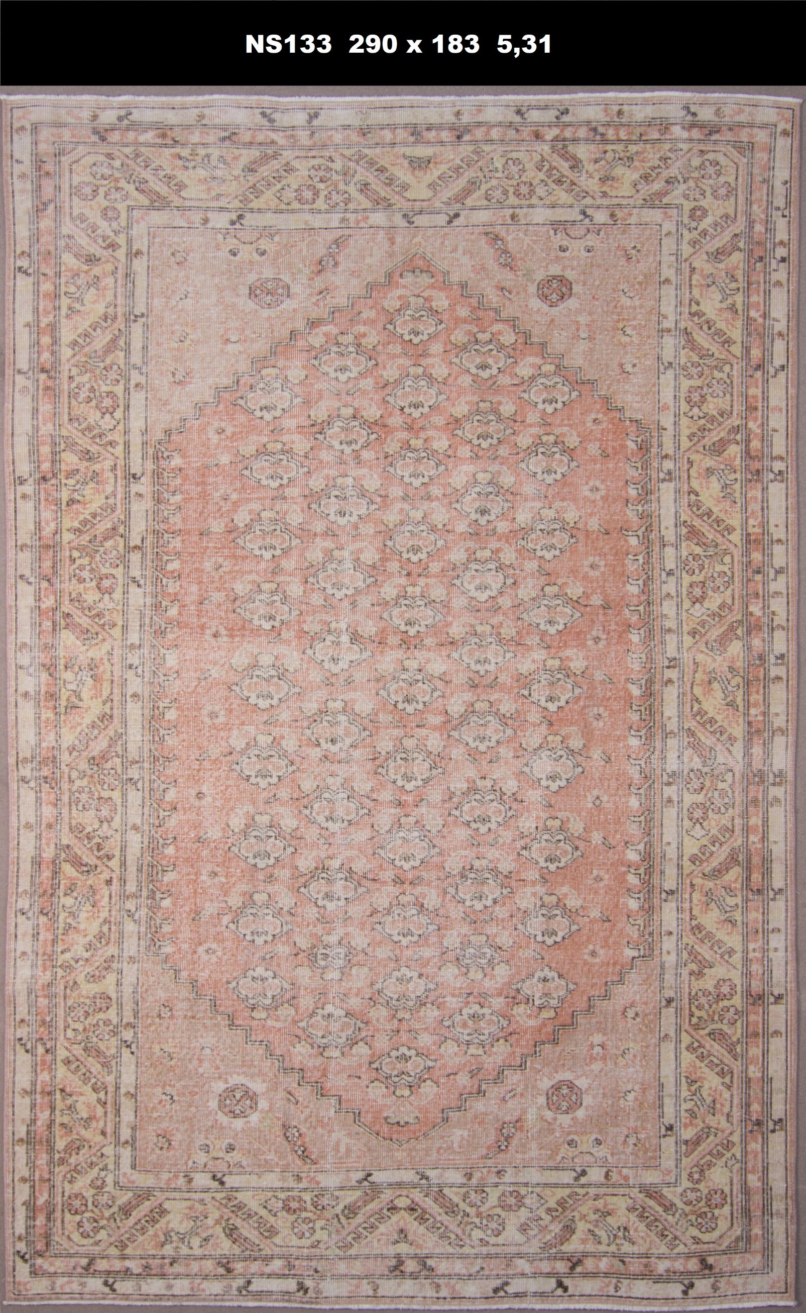  NS133 - 1'83' x 2'9' (531 Sq.Meter) 