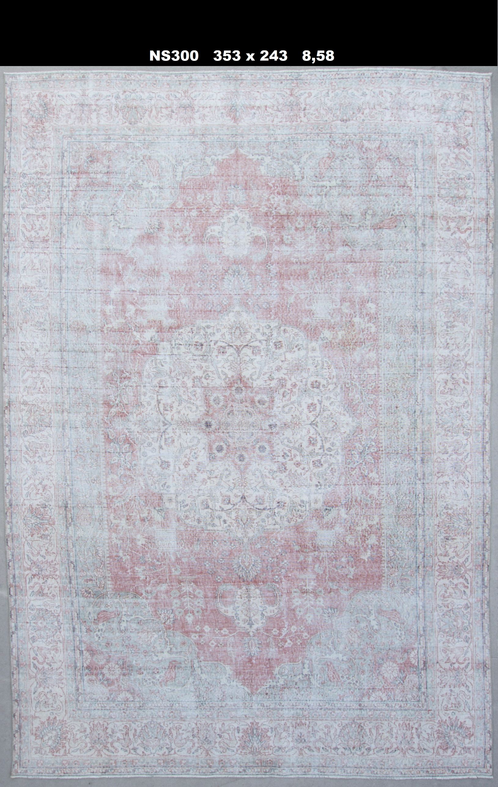 NS300 - 2'43' x 3'53' (858 Sq.Meter) 